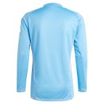 Aston Villa Jerseys - Official aston villa adidas goalkeeper shirt 2024-25 – long sleeve – 201964005 Collection for AVFC Fans
