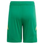 Aston Villa Jerseys - Official aston villa adidas goalkeeper shorts 2024-25 – 201964010 with custom printing Collection for AVFC Fans