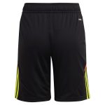 Aston Villa Jerseys - Official aston villa adidas goalkeeper shorts 2024-25 – kids – 201964004 with custom printing Collection for AVFC Fans
