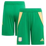 Aston Villa Jerseys - Official aston villa adidas goalkeeper shorts 2024-25 – kids – 201964012 with custom printing Collection for AVFC Fans