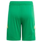 Aston Villa Jerseys - Official aston villa adidas goalkeeper shorts 2024-25 – kids – 201964012 with custom printing Collection for AVFC Fans