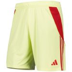 Aston Villa Jerseys - Official aston villa adidas goalkeeper shorts 2025-26 with custom printing Collection for AVFC Fans