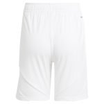 Aston Villa Jerseys - Official aston villa adidas home shorts 2024-25 with custom printing Collection for AVFC Fans